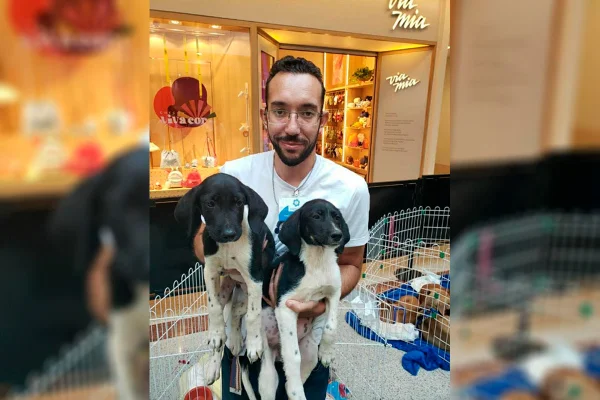 Abrigos de animais perdem renda e veem abandono aumentar na pandemia