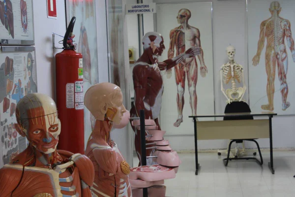 Fepecs abre inscrições para especialização gratuita em saúde mental