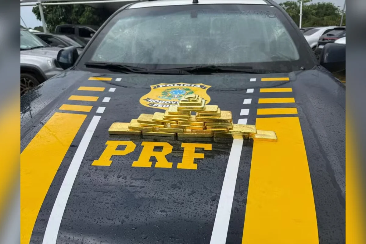 A apreensão ocorreu durante trabalho de fiscalização da PRF próximo à divisa com o estado do Amazonas A apreensão ocorreu durante trabalho de fiscalização da PRF próximo à divisa com o estado do Amazonas