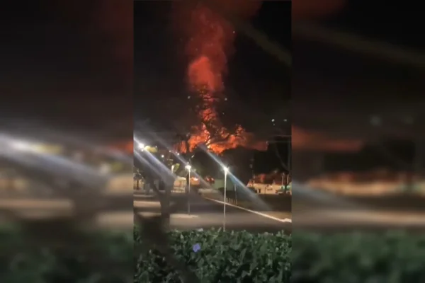 Foto colorida frame incêndio no parque da cidade