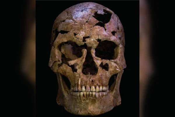 Imagem colorida de crânio reconstruído de homem assassinado por ponta de pedra há 12 mil anos - Metrópoles