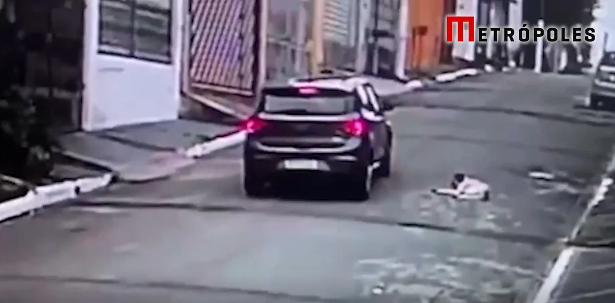 Cachorro morreu após ser atropelado propositalmente por motorista Cachorro morreu após ser atropelado propositalmente por motorista