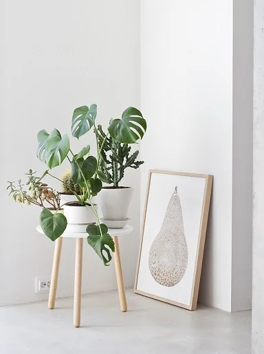 Uma única mesinha lateral pode servir de suporte para vasos de diferentes tamanhos Uma única mesinha lateral pode servir de suporte para vasos de diferentes tamanhos