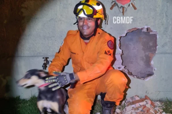 Vídeo: bombeiros resgatam cadela presa em muro entre duas casas no Lago Sul
