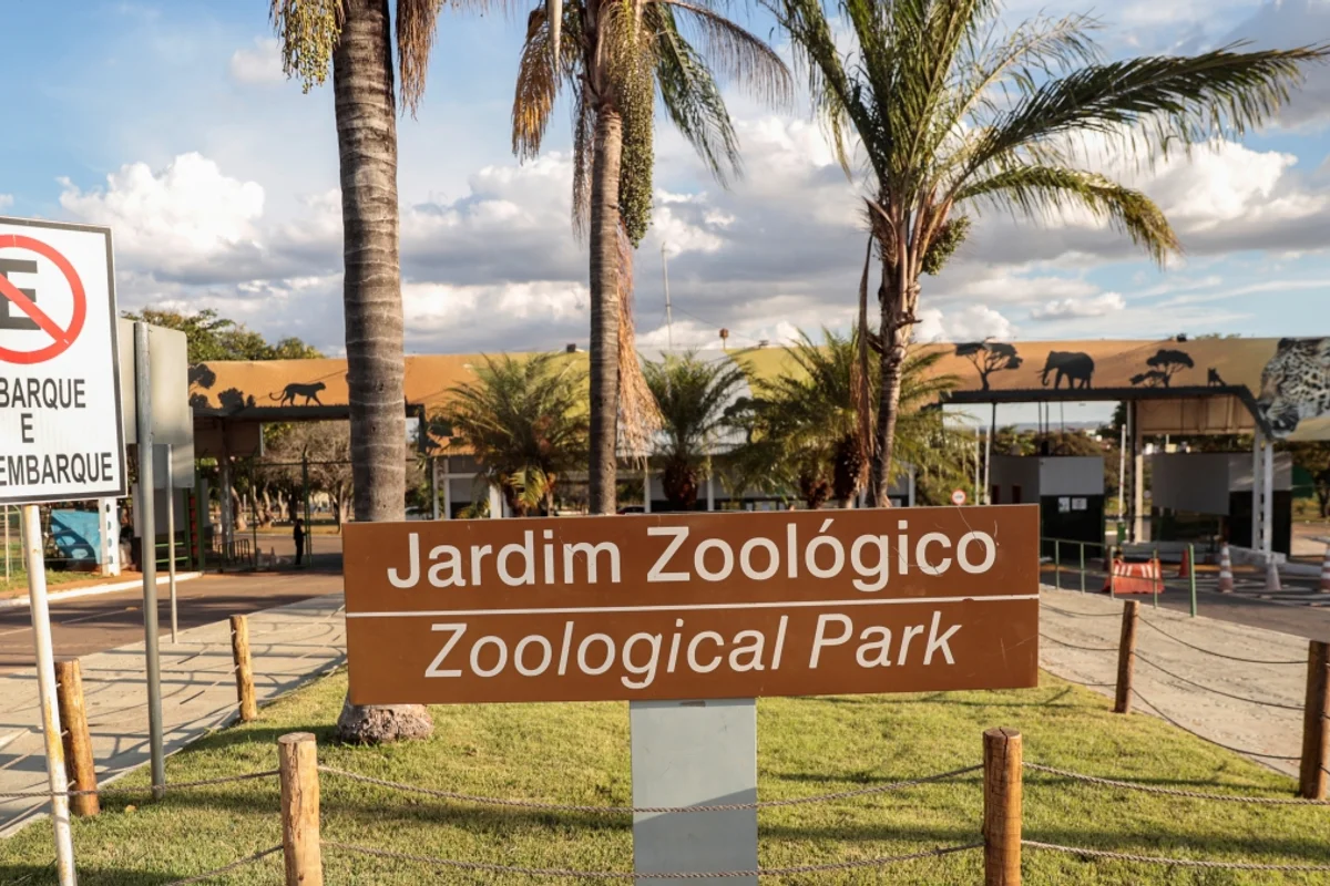 Zoo de Brasília anuncia ressarcimento para programas Zoo Noturno e Zoo Experiência