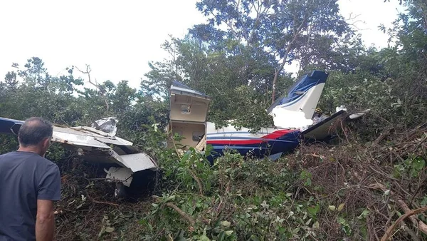 Avião caído na vegetação
