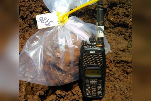 Brumadinho: um ano após tragédia, crânio é encontrado sob lama