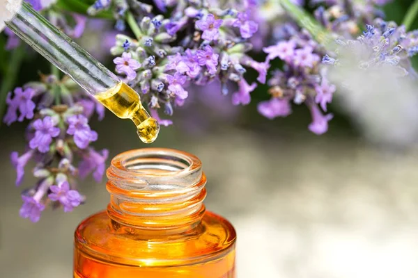 Veja dicas de como usar a aromaterapia para alcançar metas em 2022