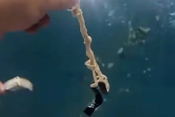 Ataque de drone do TCP explode piscina de chefão do Comando Vermelho