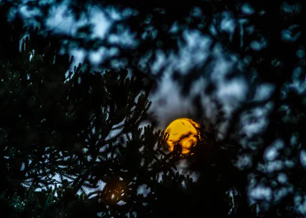 Imagem colorida de lua - Metrópoles