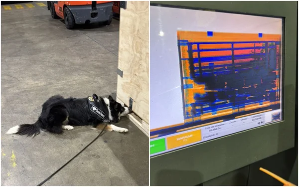 Cão farejador acha carga histórica de haxixe vinda dos EUA - Metrópoles