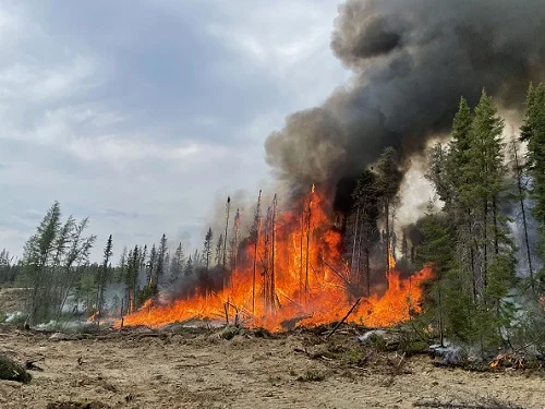 imagem colorida de fogo em floresta no canadá - Metrópoles