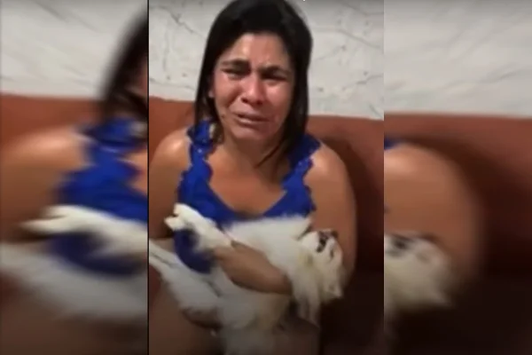 Após cão morrer em clínica, CPI dos maus-tratos da CLDF investigará caso