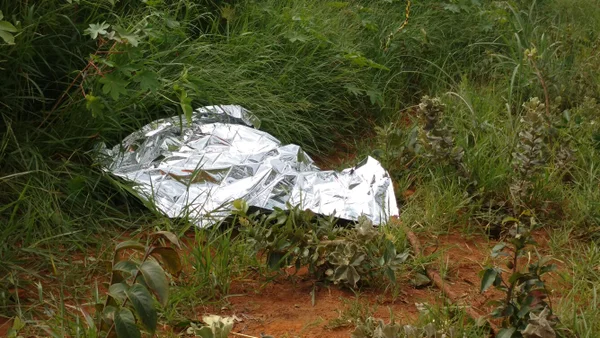 Idoso sai de casa para retirar mel de abelhas e é encontrado morto em Brazlândia