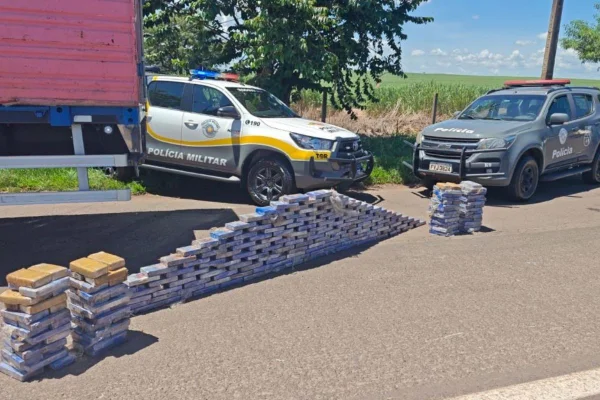 Imagem colorida mostra apreensão de cocaína em SP - Metrópoles