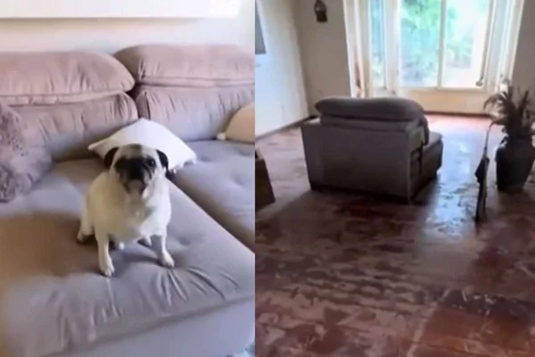 Foto colorida de antes e depois de casa no RS - Metrópoles