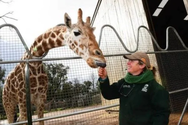 Girafa Mutangi