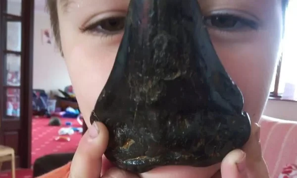 Menino de 6 anos encontra enorme dente de megalodon na praia