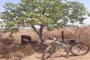 Bicicleta de uma das estudantes levada por bandidos
