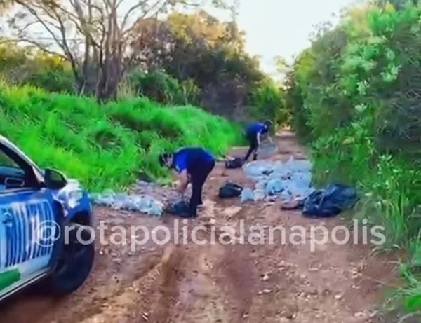 imagem colorida restos mortais descarte anapolis