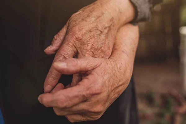 Invisíveis Olhos Violeta: conheça o livro sobre amor na 3ª idade