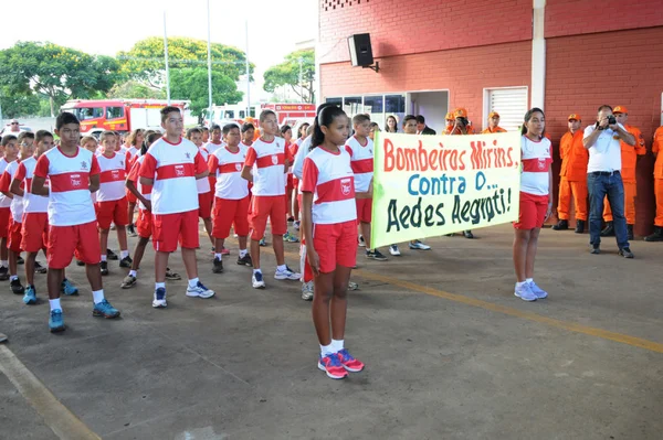 Ajuda valiosa: 1,5 mil crianças e adolescentes ajudarão no combate ao Aedes aegypti