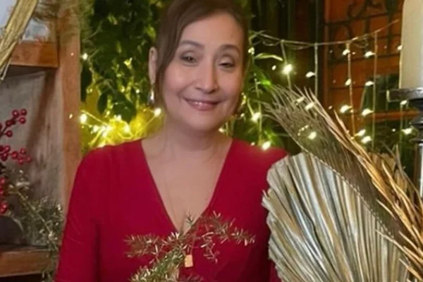 Sonia Abrão posa de vestido vermelho e cabelos presos - Metrópoles