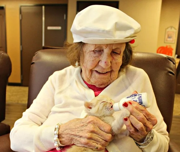 Idosos com Alzheimer cuidam de gatos abandonados nos EUA