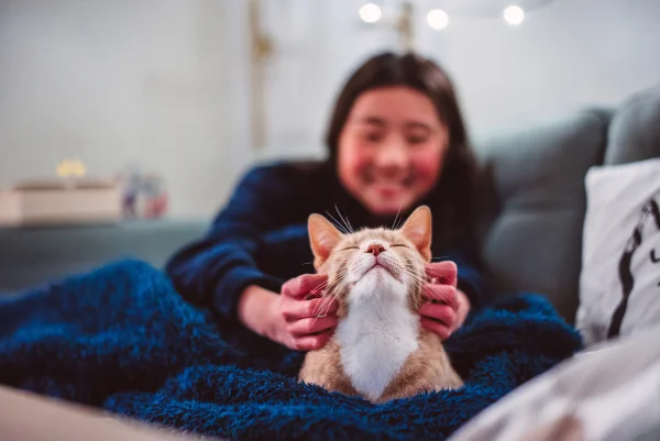 Menina ao fundo faz carinho em gato - Metrópoles