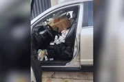 Contrabando: PM aborda carro e acha 15 mil maços de cigarro ilegais