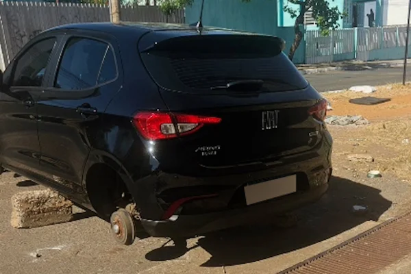 Carro sem rodas em samambaia