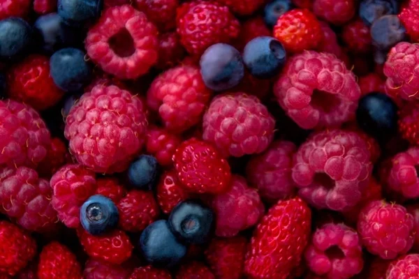 Conheça os benefícios do consumo de frutas vermelhas e roxas