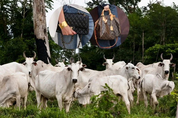 Bolsas de couro e criação de gado no Brasil - Metrópoles
