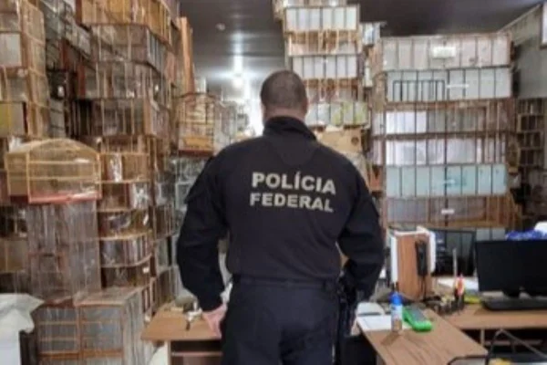 PF e Polícia Ambiental apreendem aves em cativeiro em Dois Córregos (SP) - Metrópoles