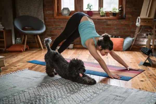 Imagem colorida de cachorro se exercitando com a dona