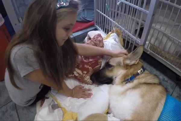 foto de uma menina sentada no chão acariciando cachorro