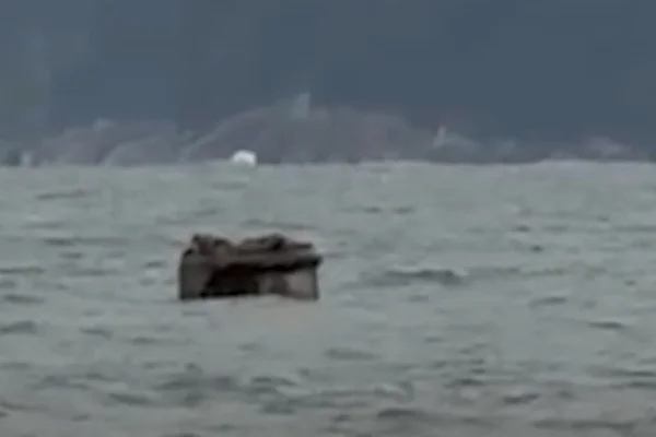 Captura de tela colorida de objeto não identificado visto no mar de Santos, no litoral de São Paulo, durante ressaca. - Metrópoles