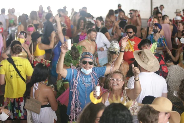 Foliões em Carnaval no DF