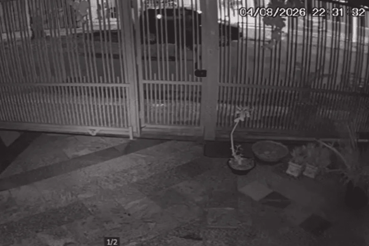 Homem agride esposa e filho, tenta ferir policial e é baleado no DF. Veja vídeo