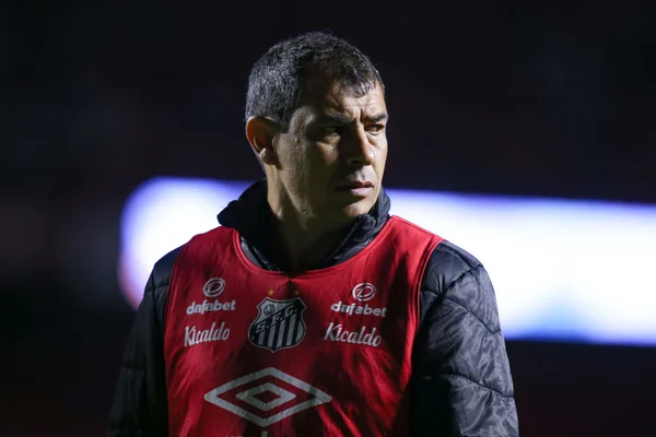 Fábio Carille, técnico do Santos, em partida contra o São Paulo, pelo Campeonato Brasileiro