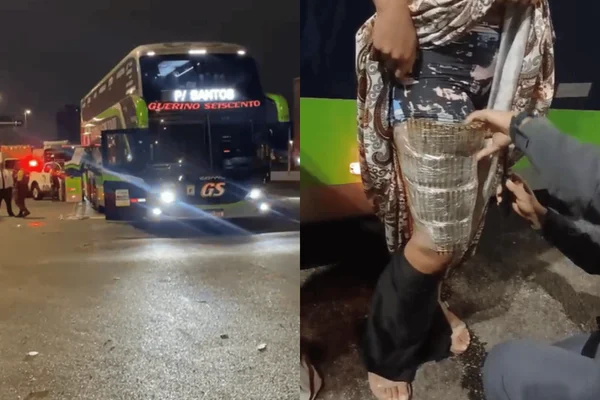 Colagem colorida de mulher sendo presa com munições coladas ao corpo - Metrópoles