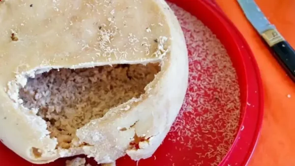 queijo mais perigoso do mundo