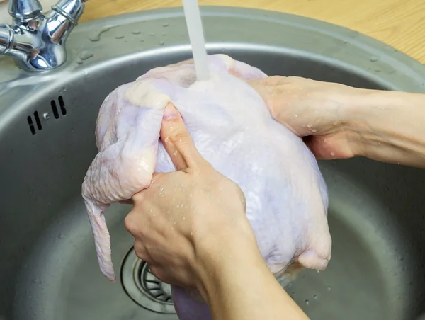 Mulher lavando galinha crua fresca na pia da cozinha. Cozinhar frango em casa. Close-up, foco seletivo - Metrópoles