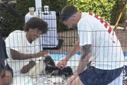 Copa: EUA usa cachorros na recuperação dos atletas após jogos - imagem 2 Copa: EUA usa cachorros na recuperação dos atletas após jogos - imagem 2