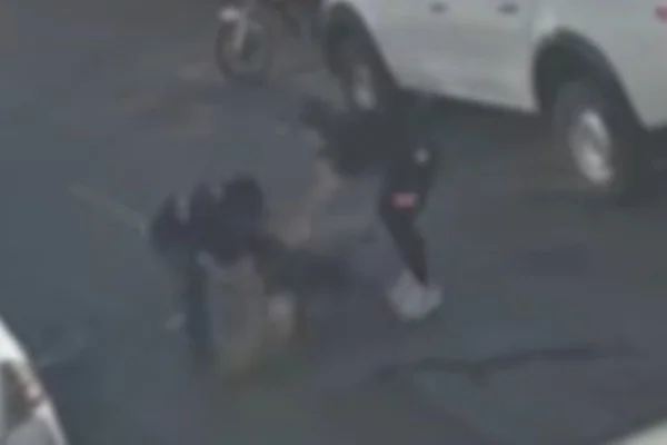 American Bully foge de casa e mata vira-lata em ataque brutal no Guará