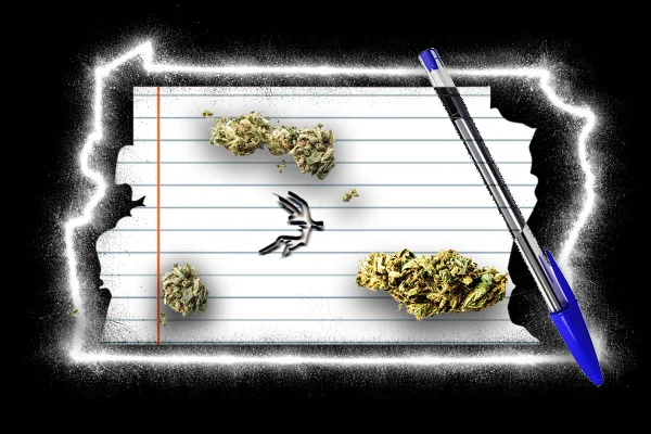 arte sobre a taxa de estudantes que usam drogas no Brasil