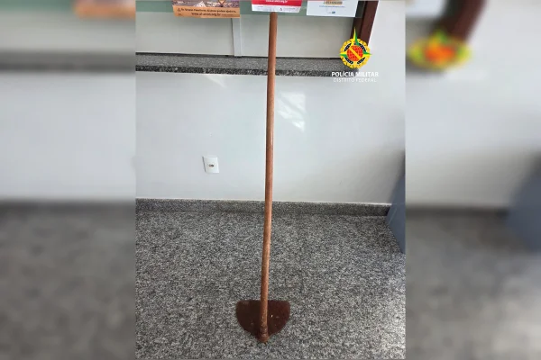 A enxada apreendida com o jovem
