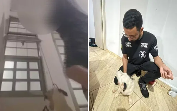 imagem colorida cachorro enforcado em live goias por adolescente