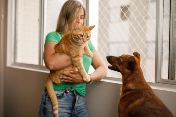 Imagem colorida de mulher carregando gato laranja, enquanto cachorro olha