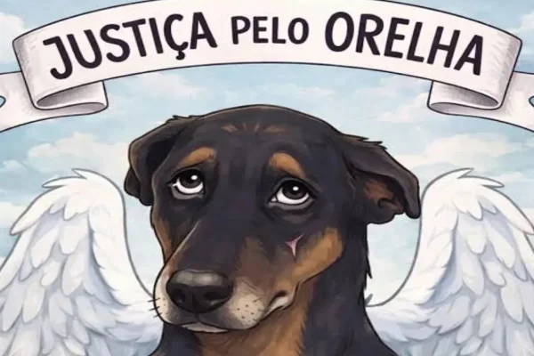 Hashtag é levantada por internautas após agressões com cão Orelha